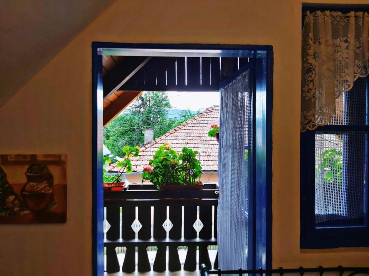 Casa Toth Hostel Viseu de Sus Luaran gambar